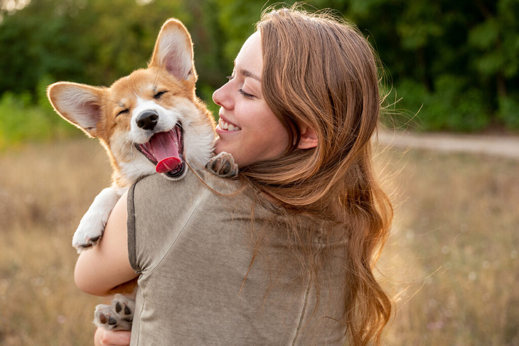 Коргі: що варто знати, якщо ви берете в будинок щеня цієї породи?