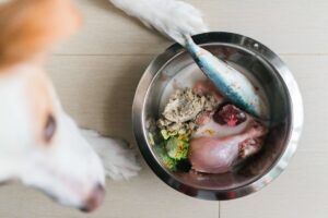 Переведення собаки на натуралку: варіанти переходу, плюси та мінуси переходу на сире натуральне харчування.