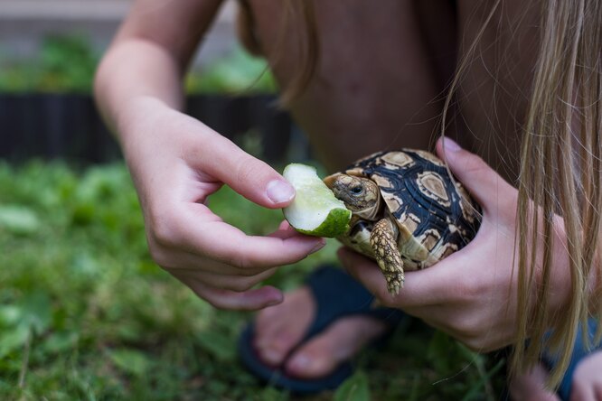 Причина №4: дефіцит вітамінів