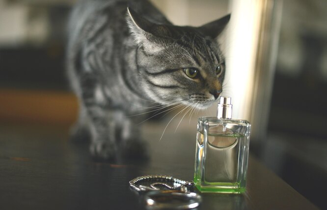 Дихати нічим