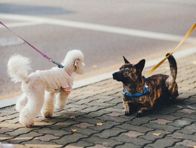 Крок 6: Жодних громадських місць