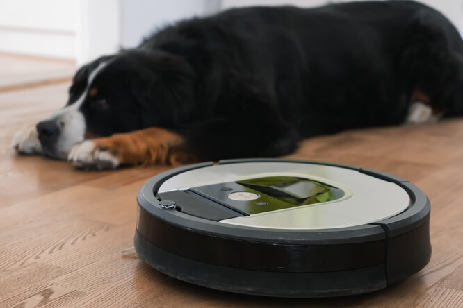 Як подолати страх собаки перед пилососом