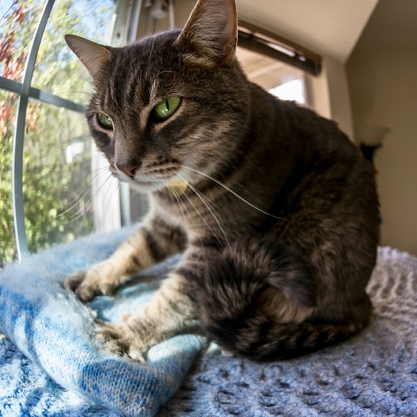 Підготовка спального місця