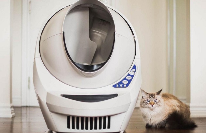 Лотки / туалети, які не відповідають розмірам та потребам тварин