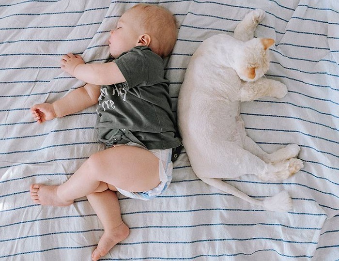 Поява дитини може викликати стрес у кішки / кота