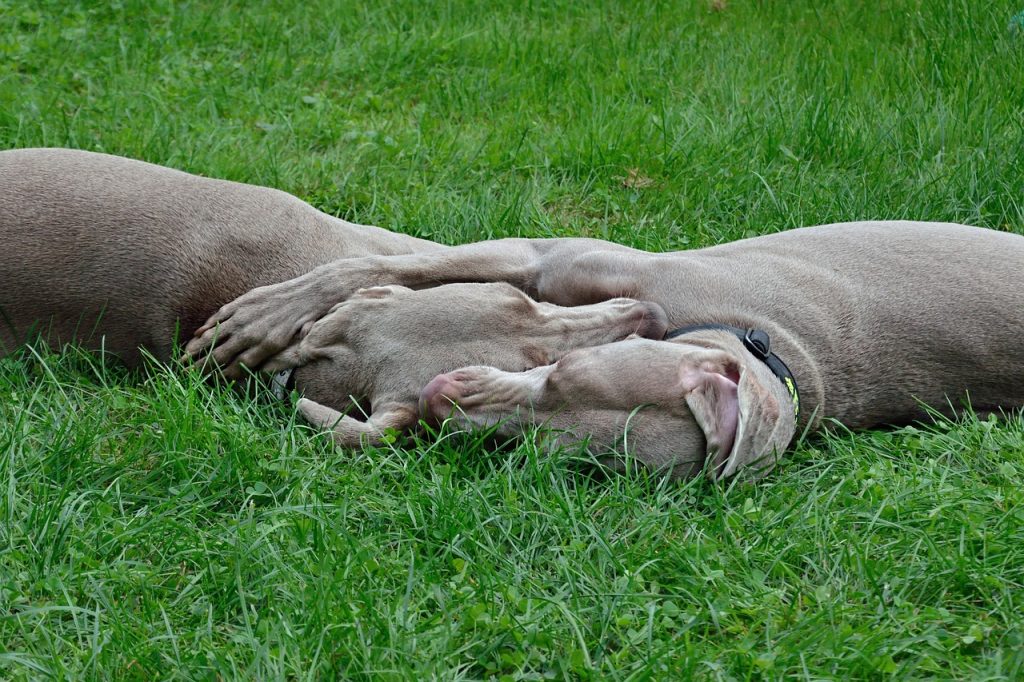 Правила в'язки / парування / злучки: з чого почати?