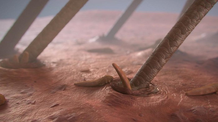 Шкірні кліщі (демодекс)