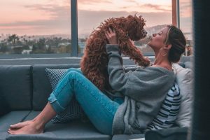 Собака, яка не пахне псиною: 10 порід для людей із чутливим носом.