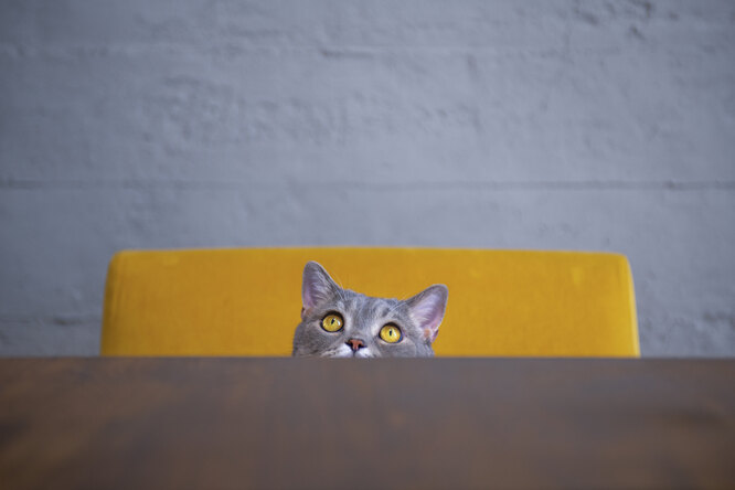 Закриті двері у будинку