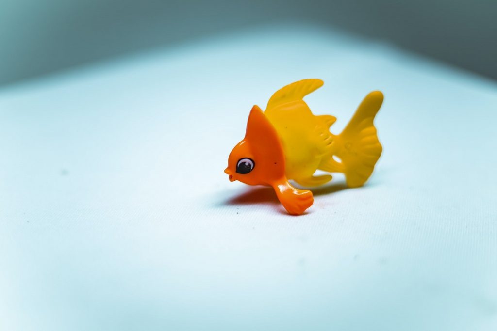 Чи можна годувати собаку рибою?