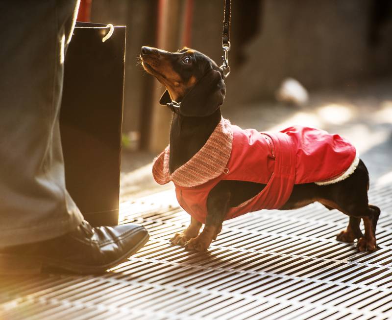 Домашні комбінезони