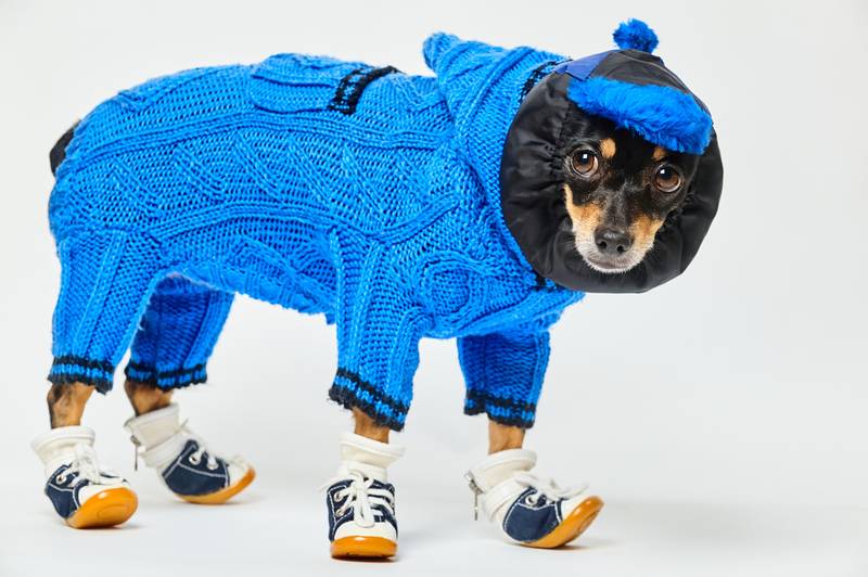 Навіщо потрібне взуття?