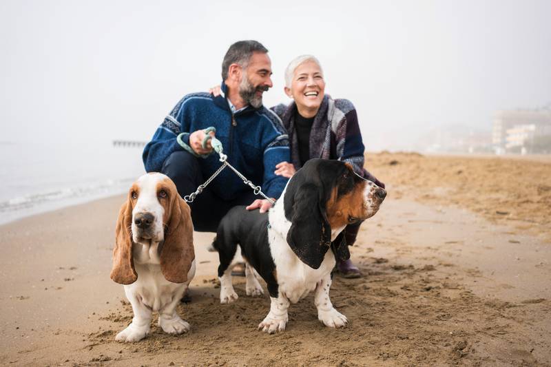 Спарка-повідець