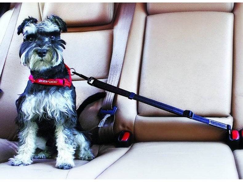 Ремінь безпеки