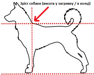 Вимірювання зросту собаки