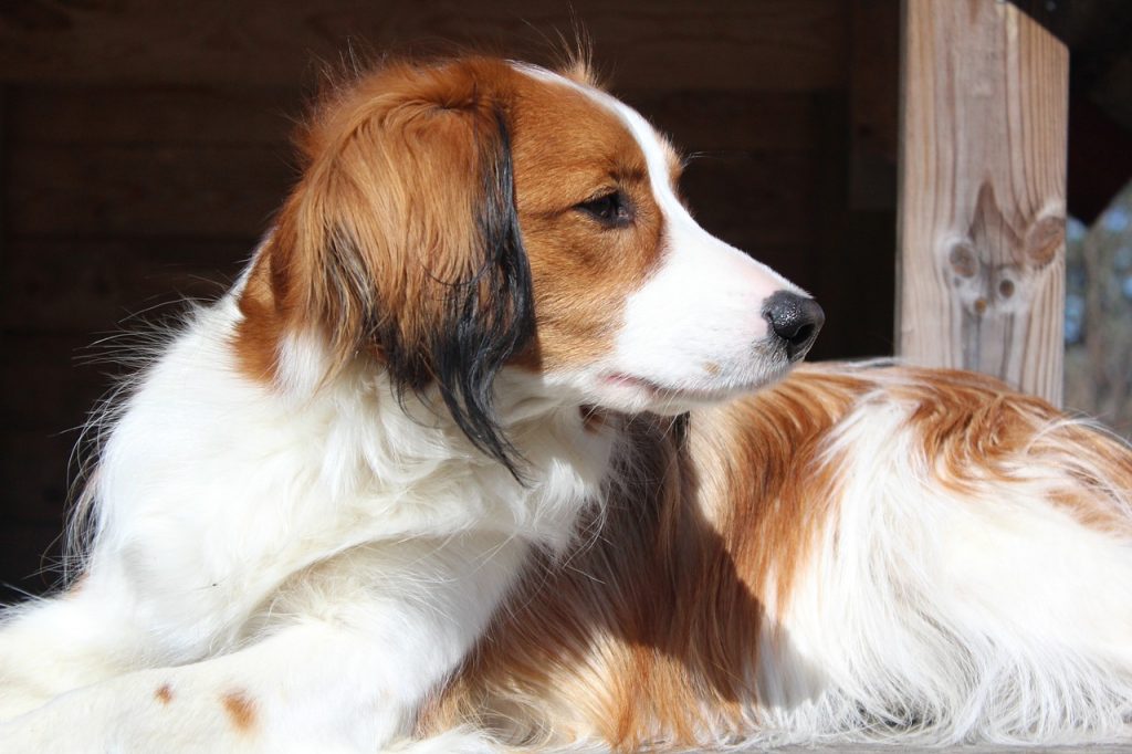 Як правильно забезпечити баланс калорій?