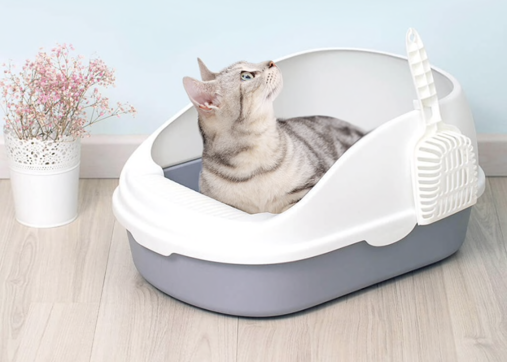 Наповнювачі для котячого туалету: чим відрізняються і як вибрати.