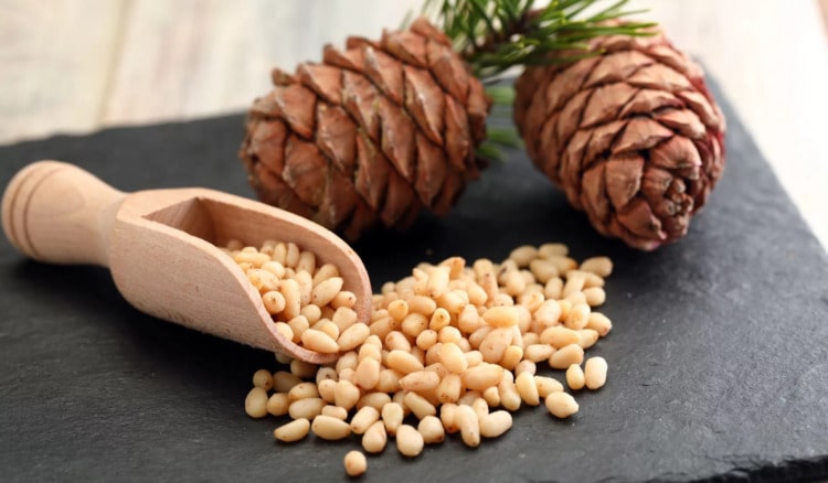 Чи безпечні для вживання собакою кедрові горіхи