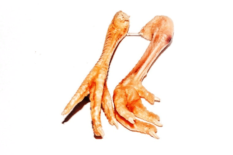 Сушені курячі лапки для собак