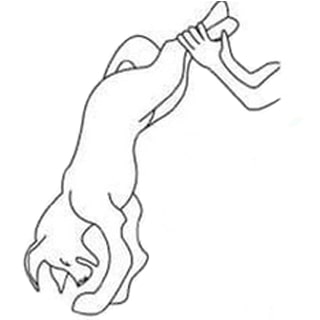 Що робити, якщо собака подавився кормом?