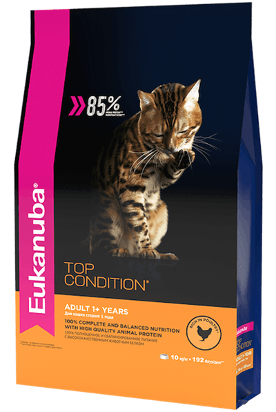 Eukanuba™ Adult 1+ Years Top Condition