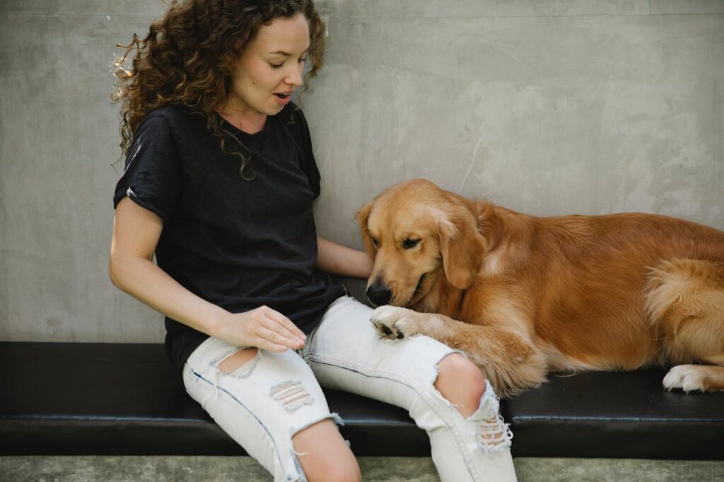 Хвороба Аддісона у собак: симптоми та лікування.