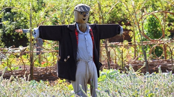 Опудало для відлякування голубів