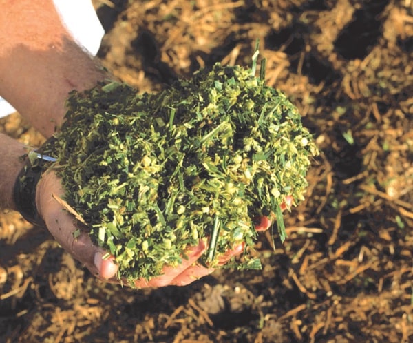 Подрібнення бадилля і змішування