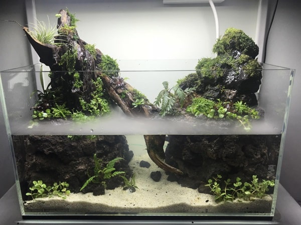 Субстрат для палюдаріума