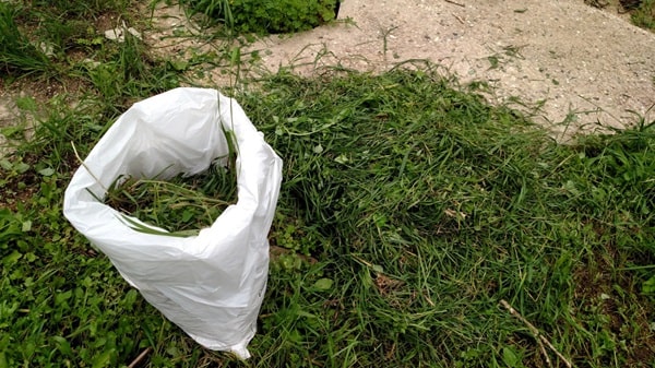 У чому силосувати бадилля?