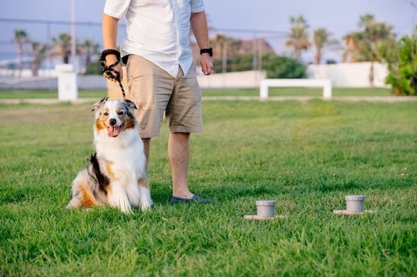 Удосконалення навичок