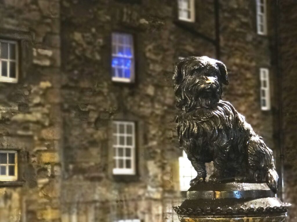 Яка пам'ять у собак і через скільки вони забувають господаря?