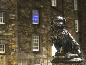 Яка пам’ять у собак і через скільки вони забувають господаря?