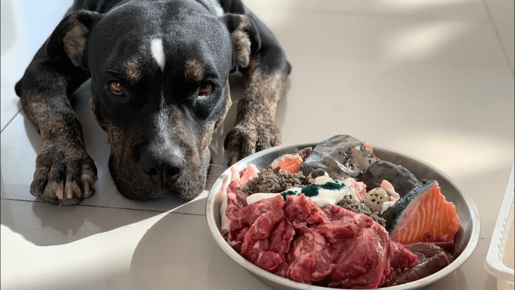 Наслідки незбалансованого харчування.