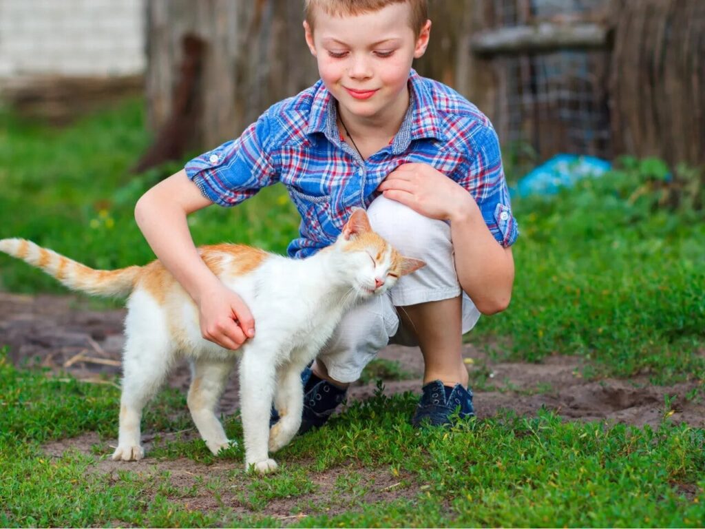 Навіщо коти труться об ваші ноги: що вони хочуть цим сказати?