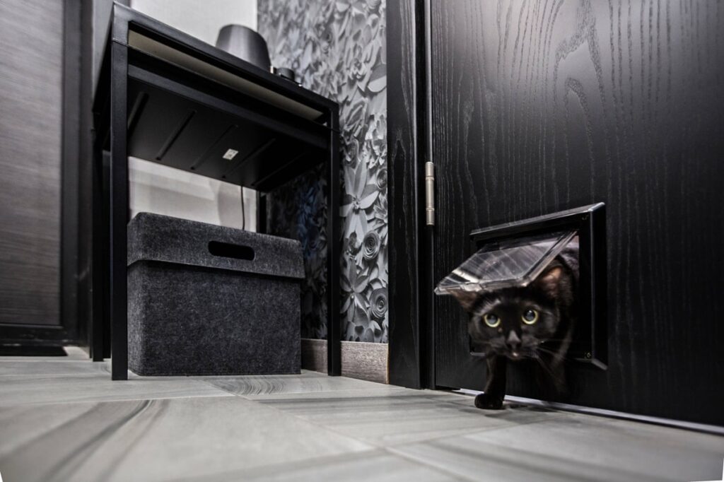 Відкидні дверцята TRIXIE для котів. Корисна стаття з фотографіями.