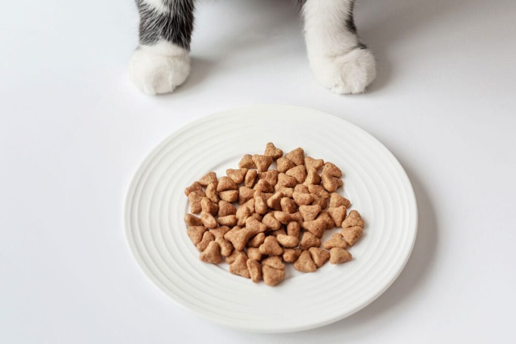 Чому промислові корми викликають у домашніх тварин сильну прихильність (залежність)?