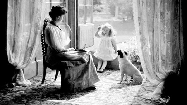 Культурна революція щодо домашніх тварин