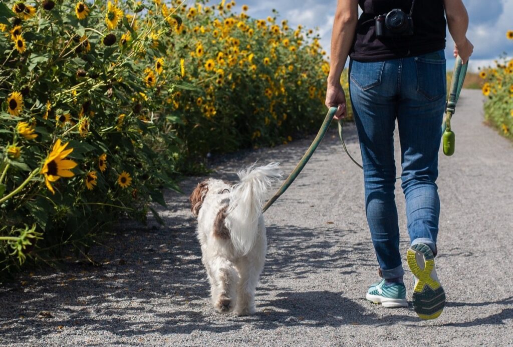 Команда «ПОРУЧ».