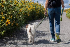 Команда «ПОРУЧ».