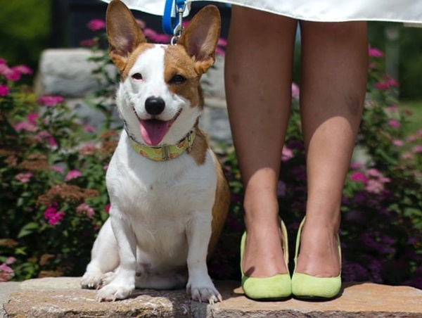 Навчання основного положення