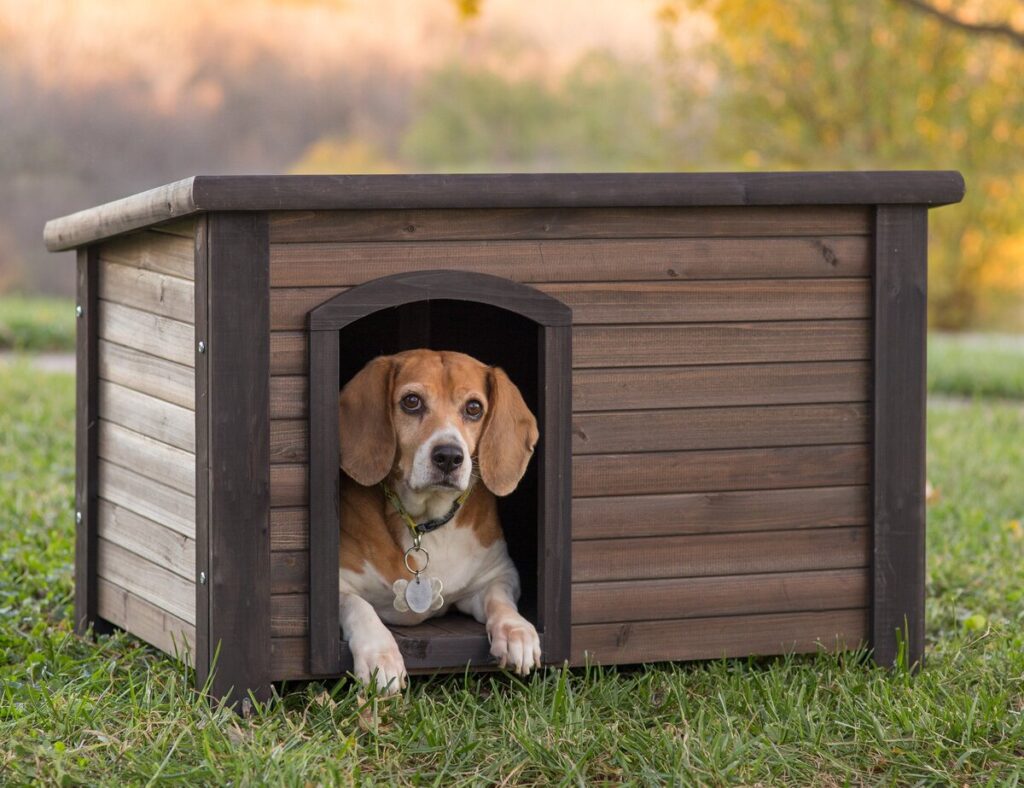 Будка для собаки своїми руками.