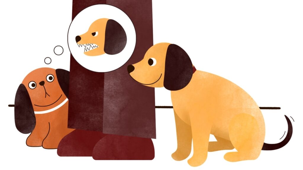 Чому собака боїться інших собак?