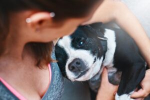 Чому собака притискається до господаря?