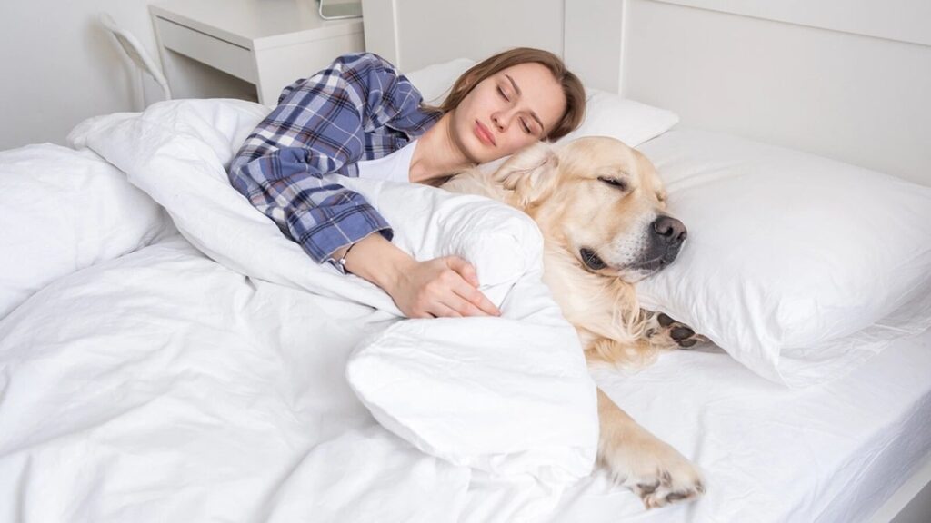 Чи можна спати із собакою в одному ліжку?