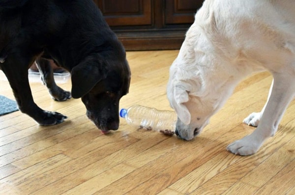 Пляшка із секретом