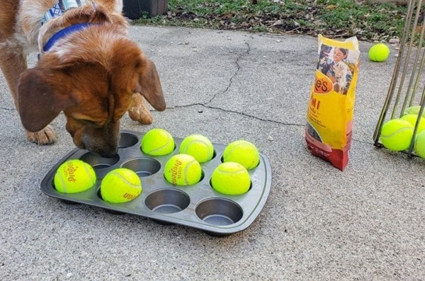 Смачна головоломка