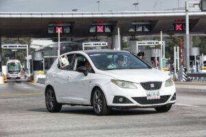 Собаку заколисує (закачує) в машині? Що робити?