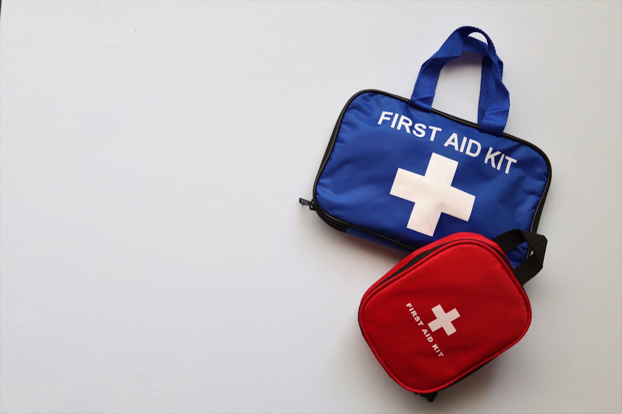 Аптечка для собаки в дорогу.