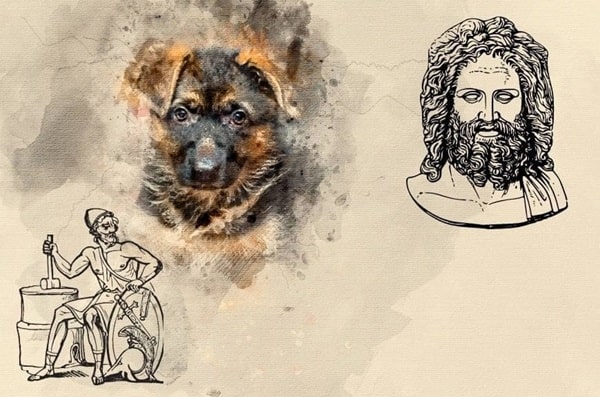 Клички для німецьких вівчарок зі значенням